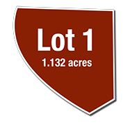 Lot 1 shape